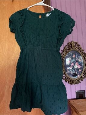 Medium Old Navy Girls Green Eyelet Ruffle Dress